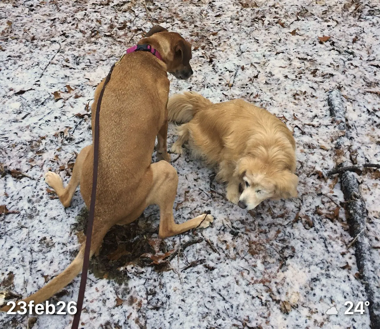 feature-leeloo-katie